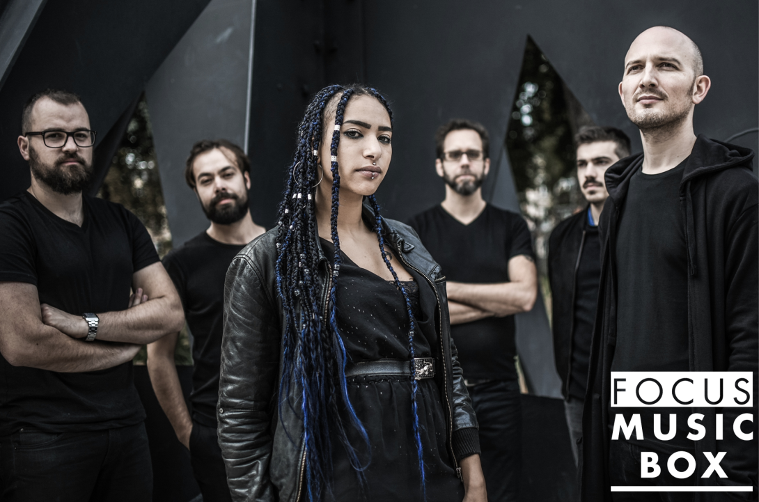 Focus Music-Box #7 : No Terror In The Bang.